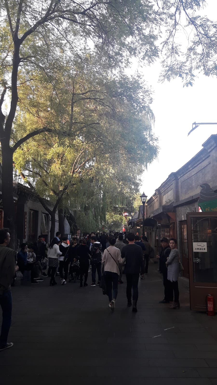 Beijing Kite Flying Club - Image 1