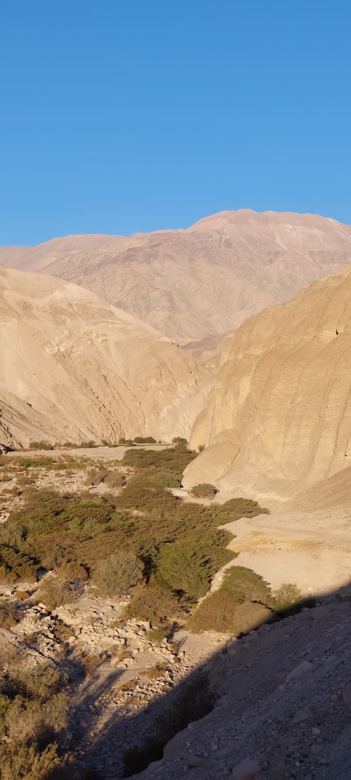 Valle de Azapa - Image 1