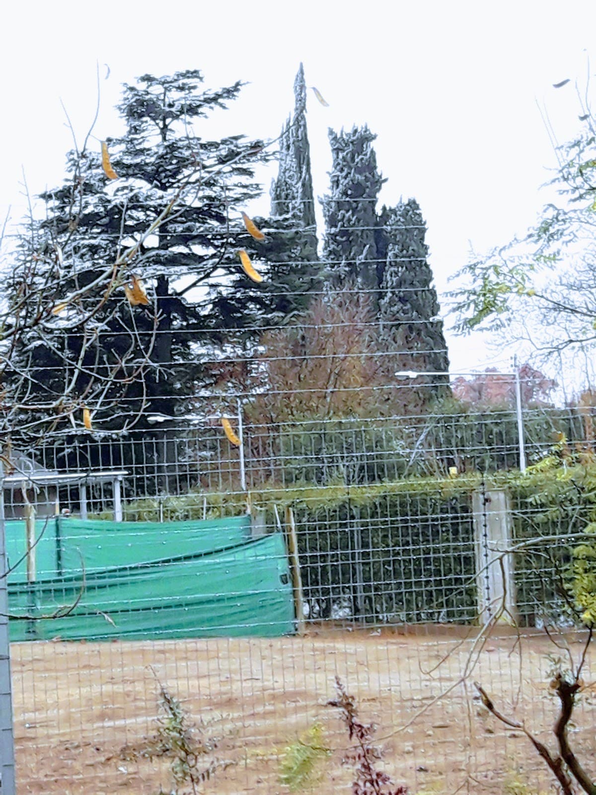 Mayor Drummond - Image 1