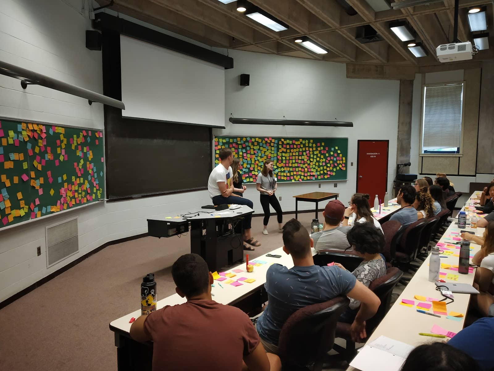 Gallery Collection Insights