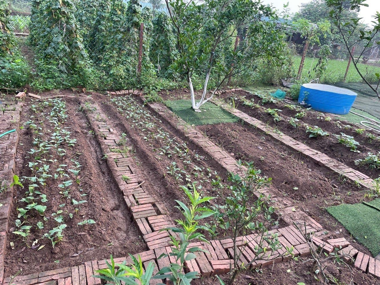 Chuong Duong Bridge - Image 1