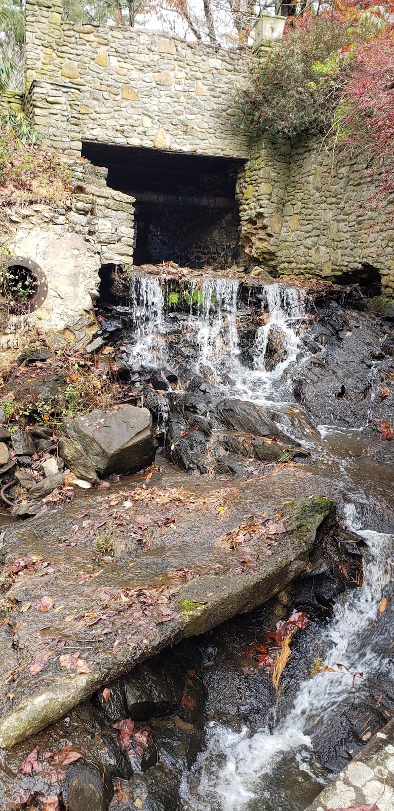 Annie Cannon Gardens - Image 1