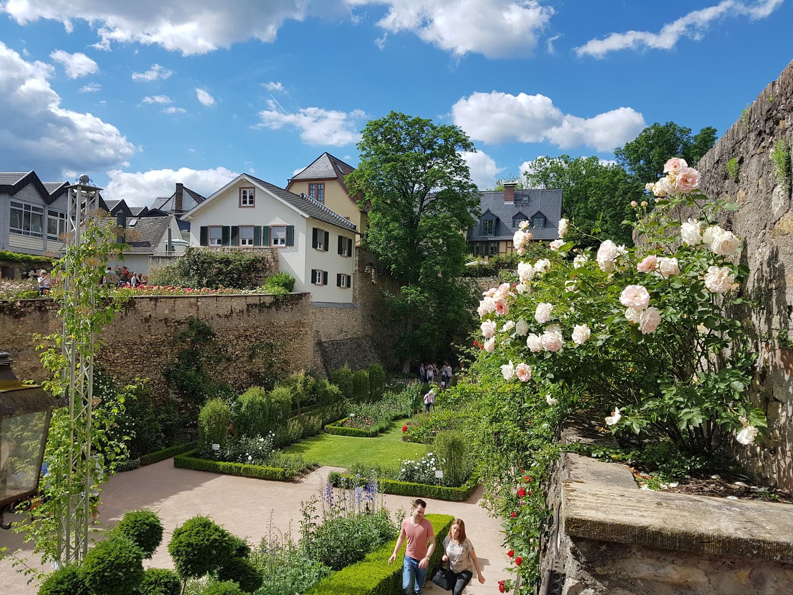 Eltville am Rhein Frankfurt - Image 1