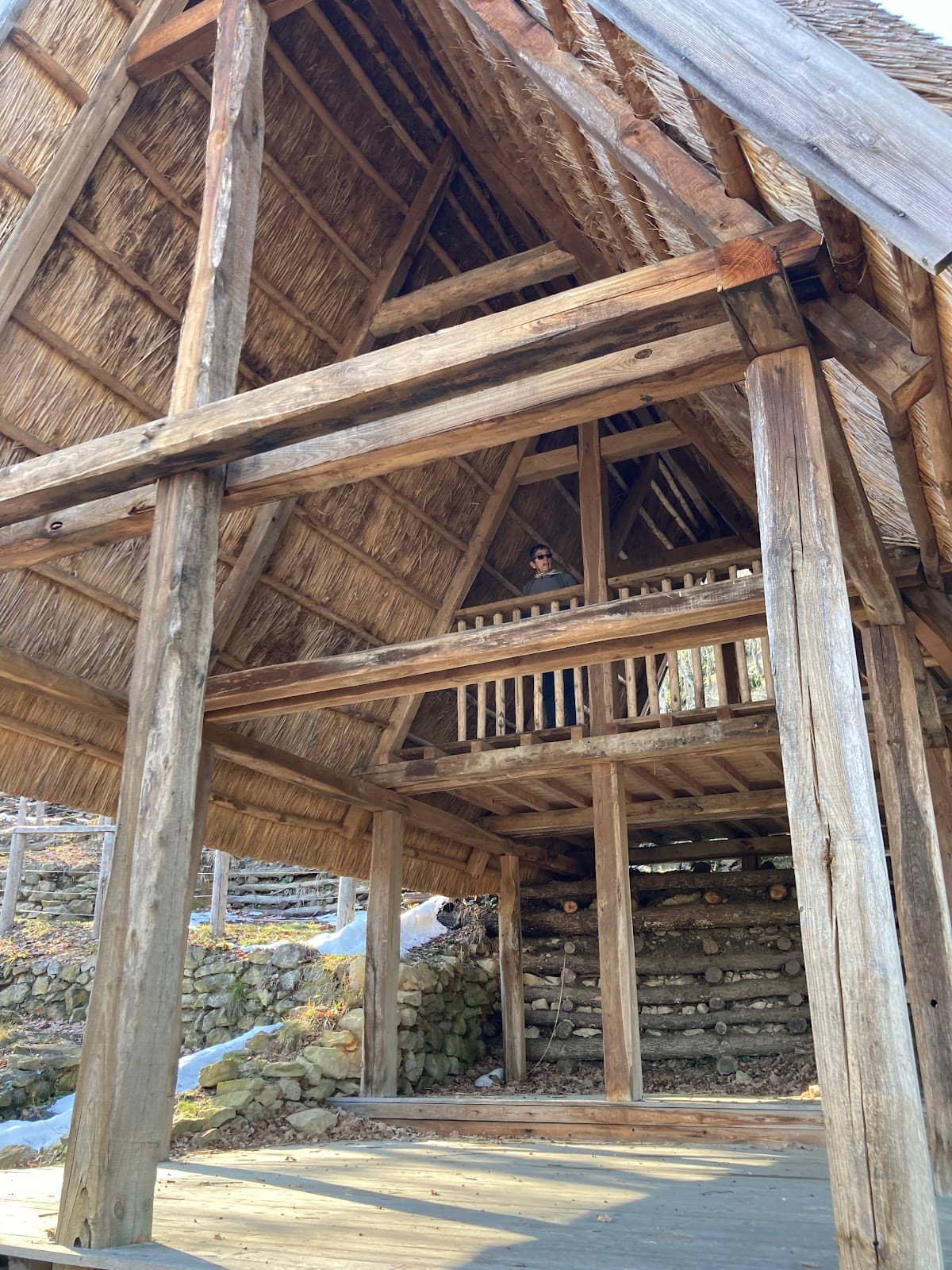 Vertical photo
