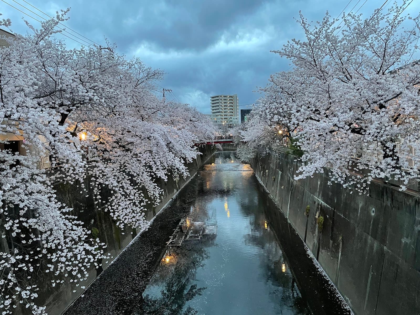 Shakujii River Greenway (Itabashi) - Image 1