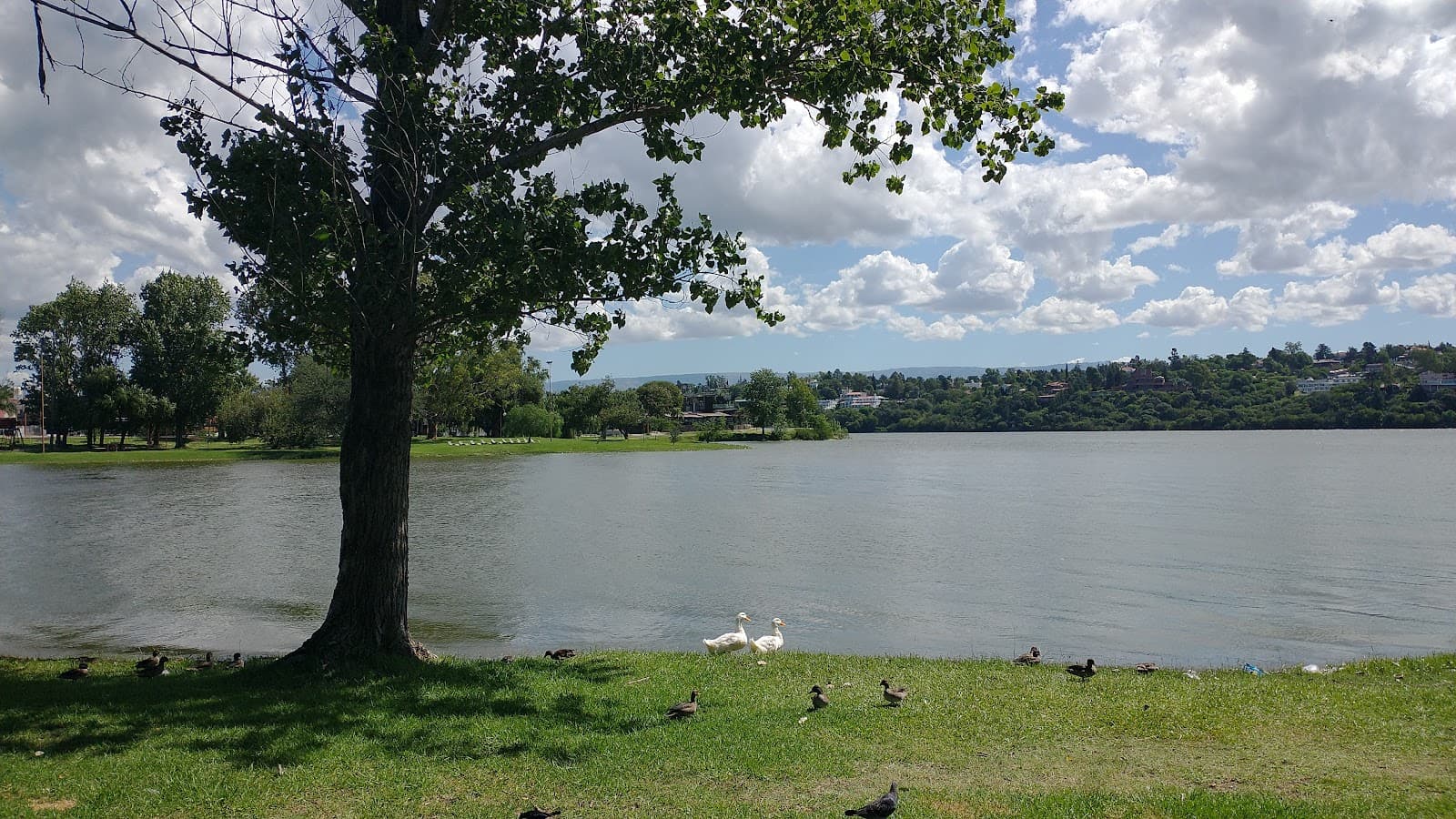 Paseos en Catamarán Lago San Roque - Image 1