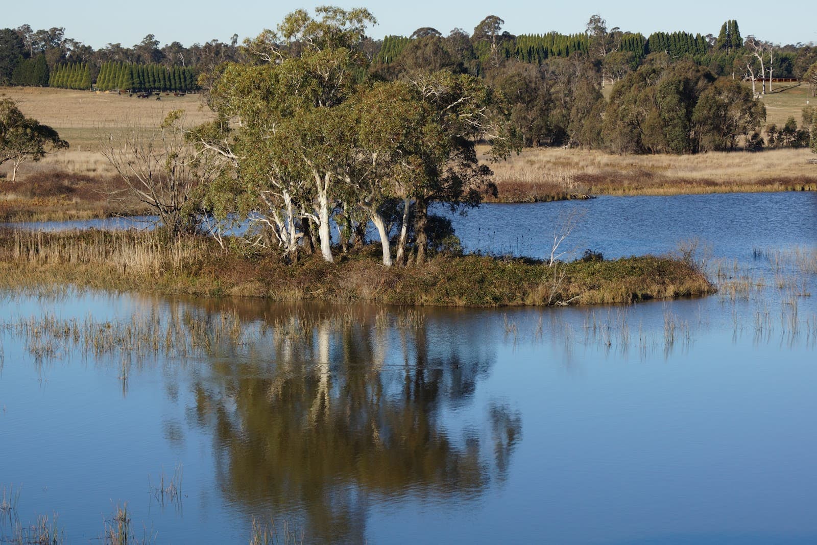 Cecil Hoskins Nature Reserve - Image 1
