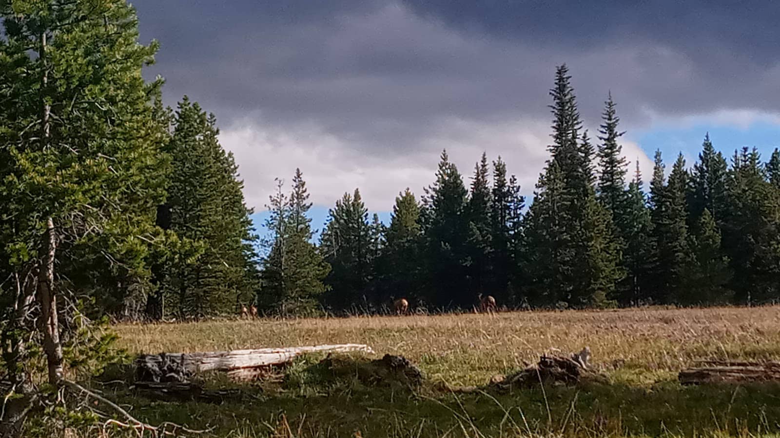 Historic Colockum Road