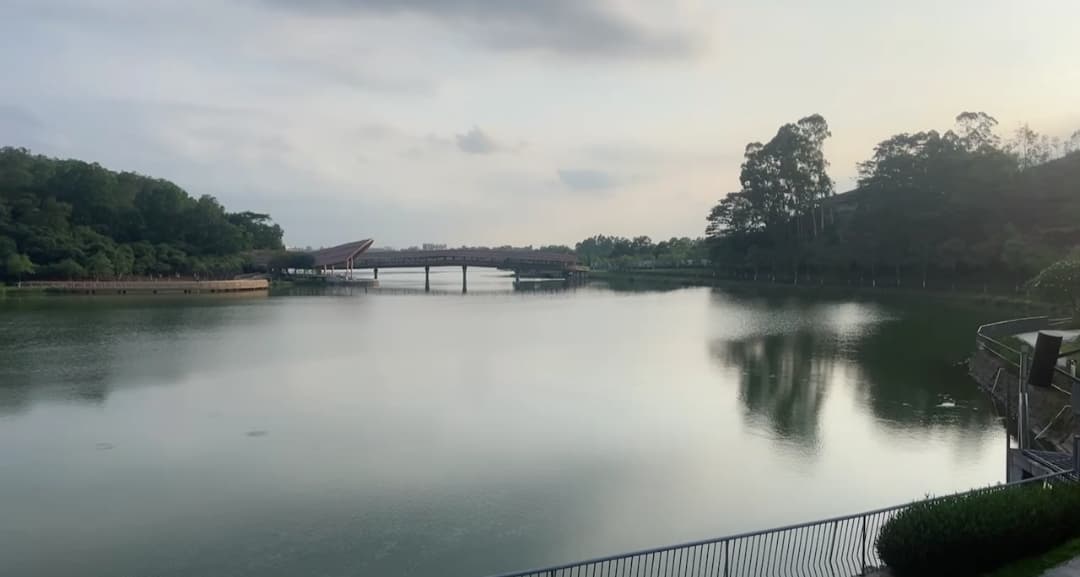 Shajiao Wetland Park - Image 1
