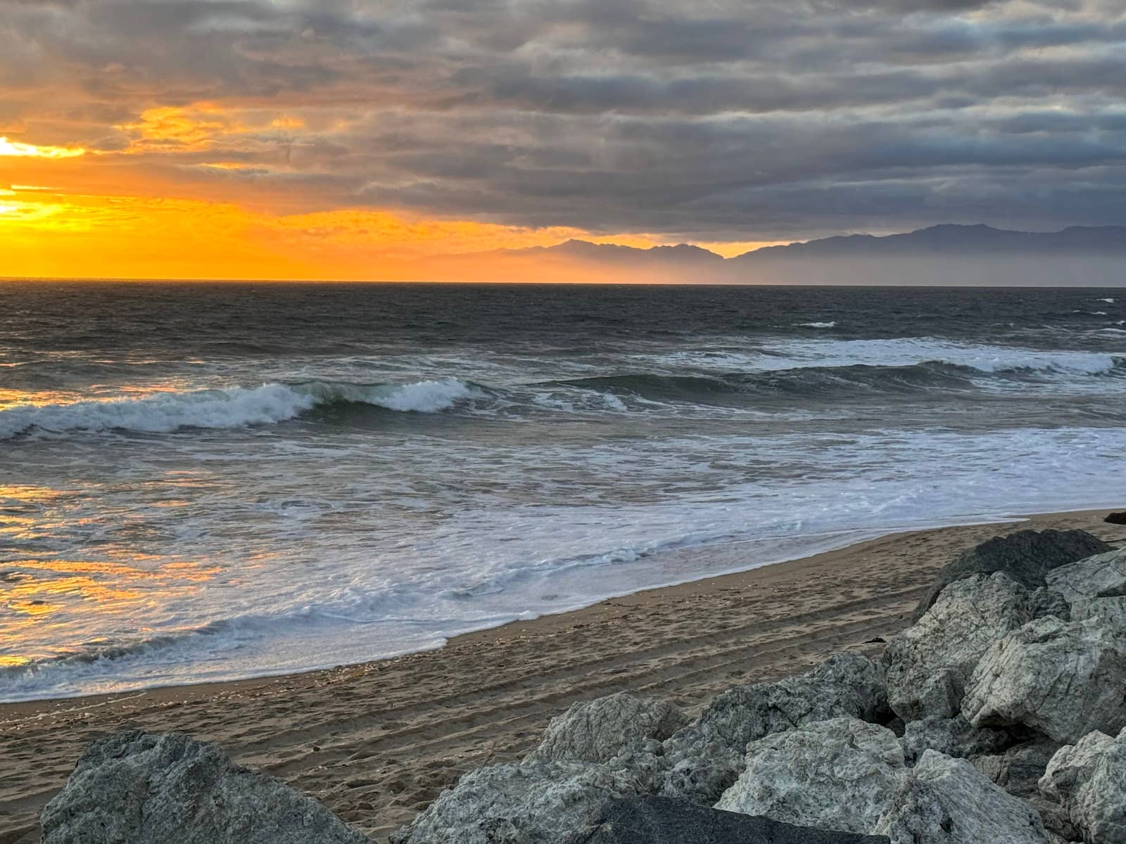 Bioluminescent Nights