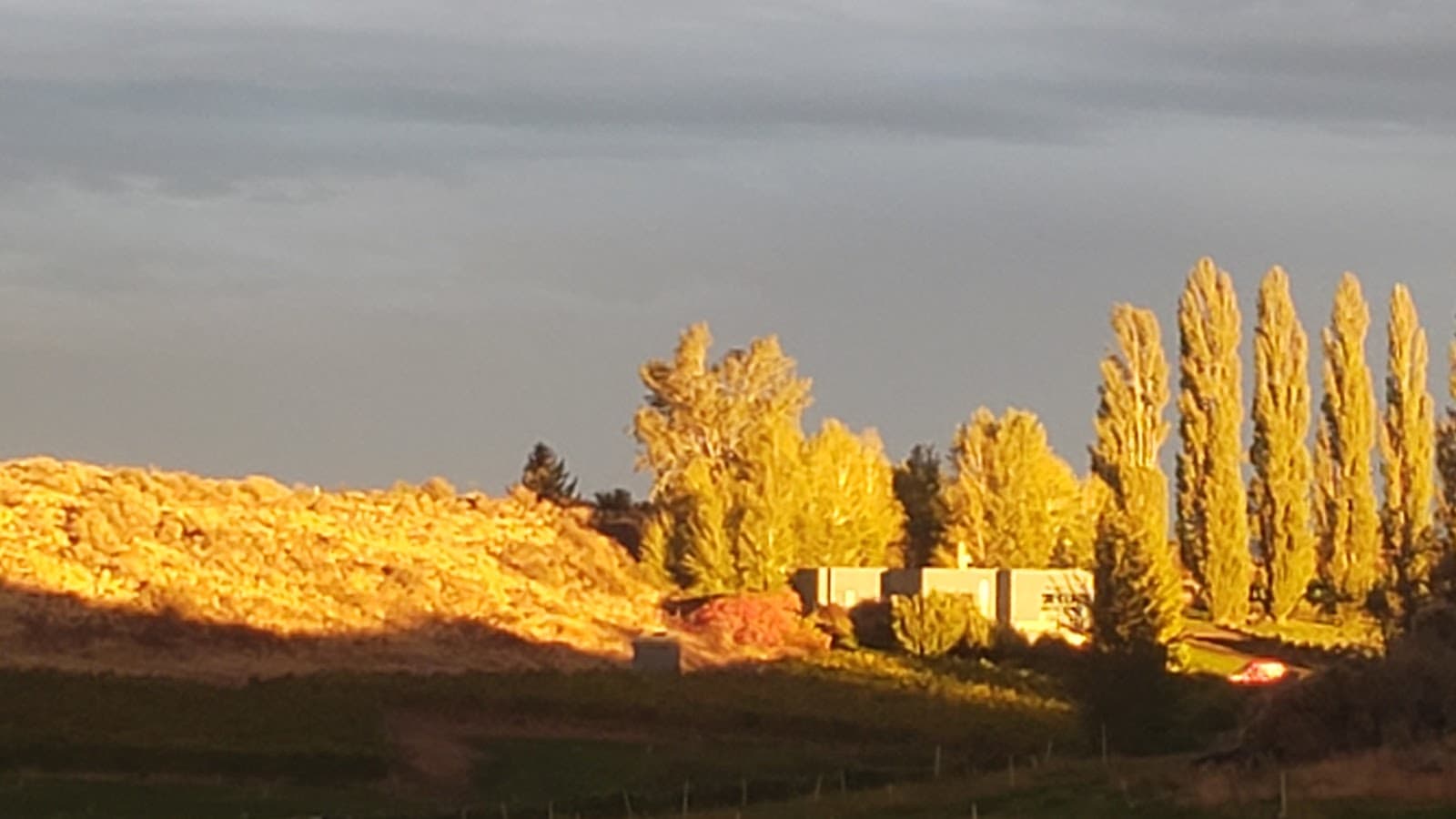 Naches Heights Vineyard - Image 1