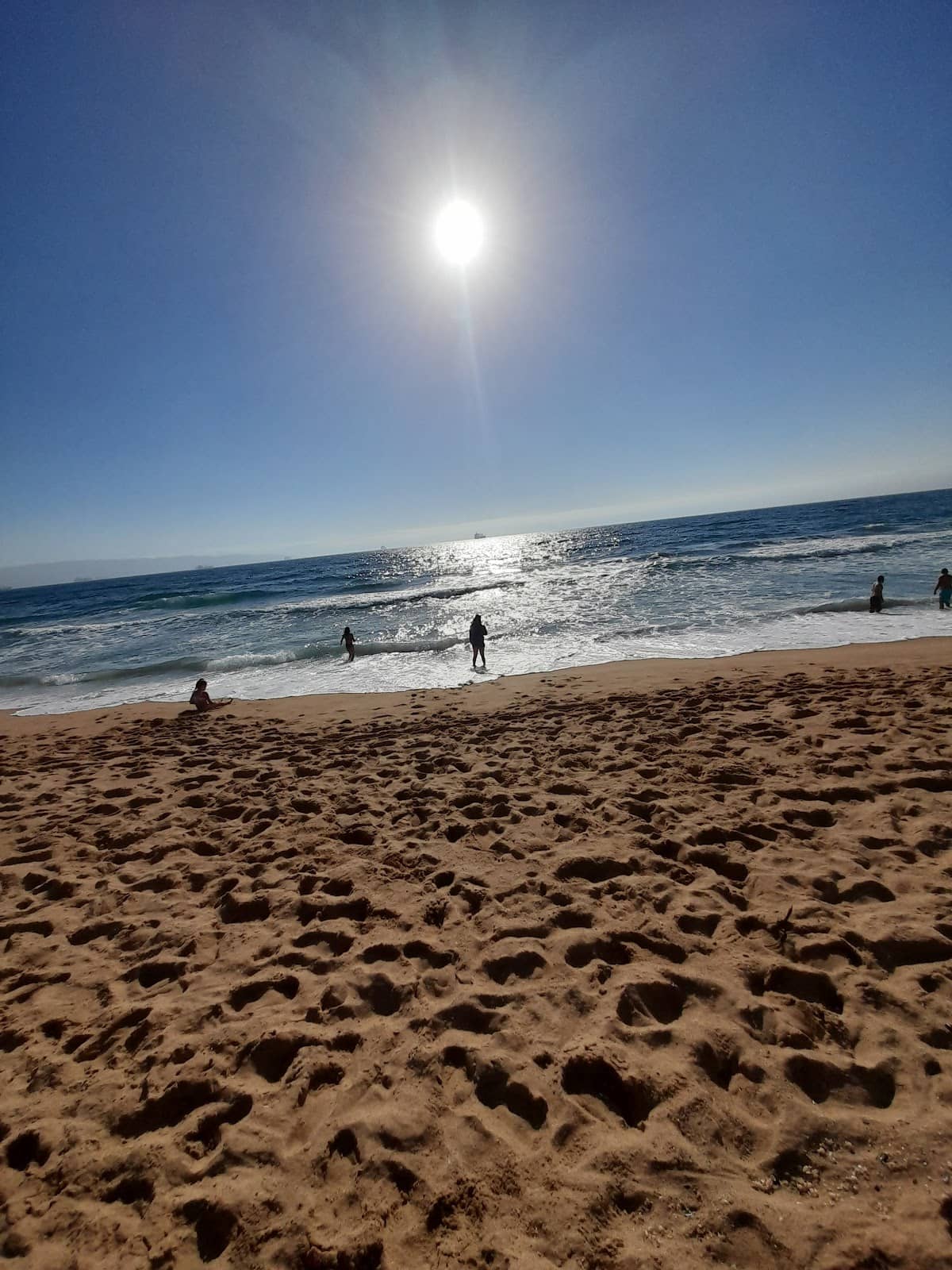 Parque Natural Reñaca Norte