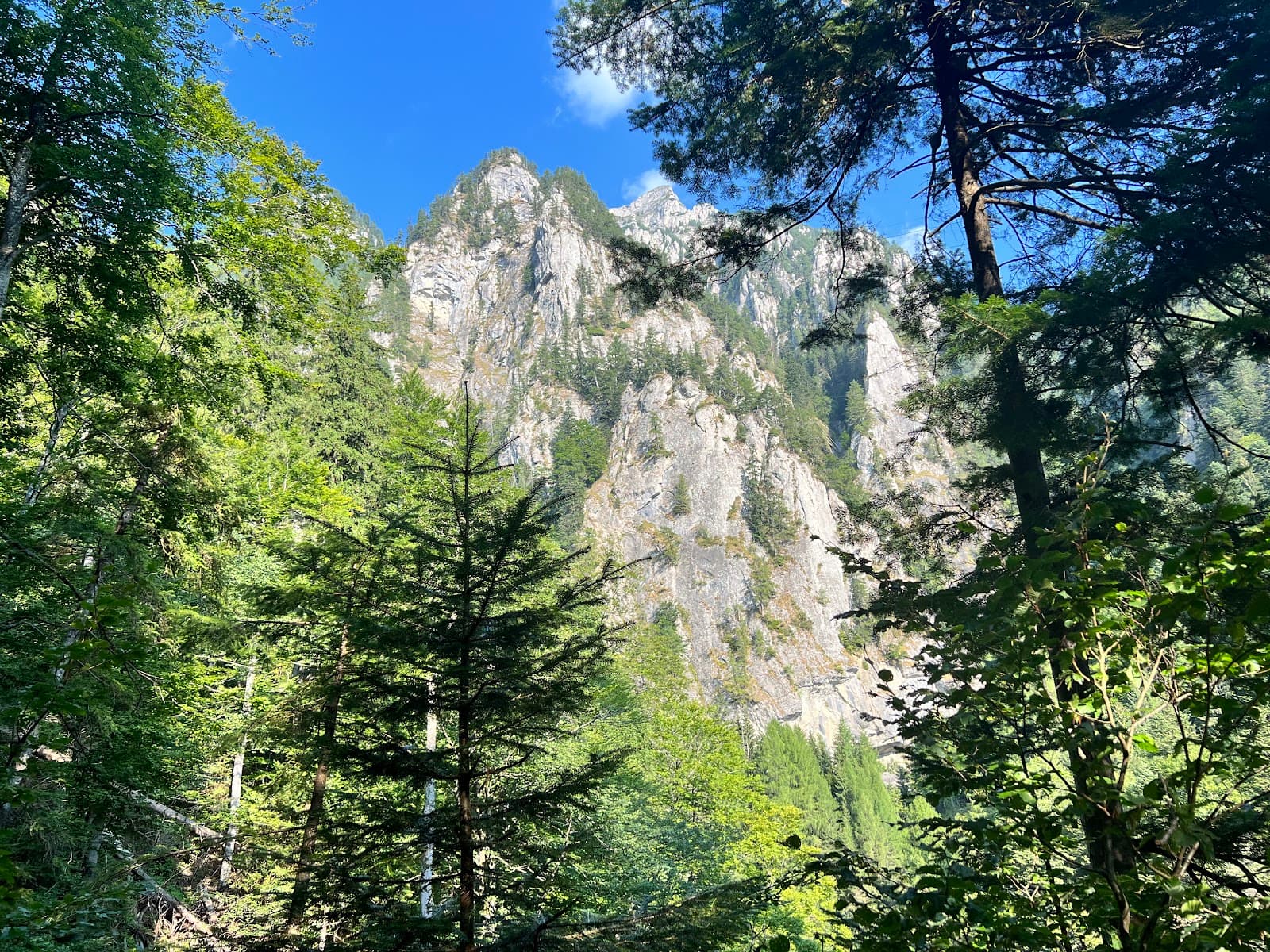 Valea Jepilor (Jepii Mici) Trail - Image 1