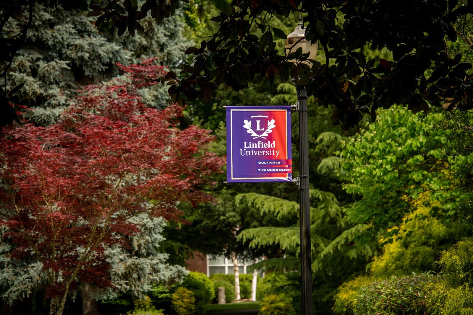Linfield University - Image 1