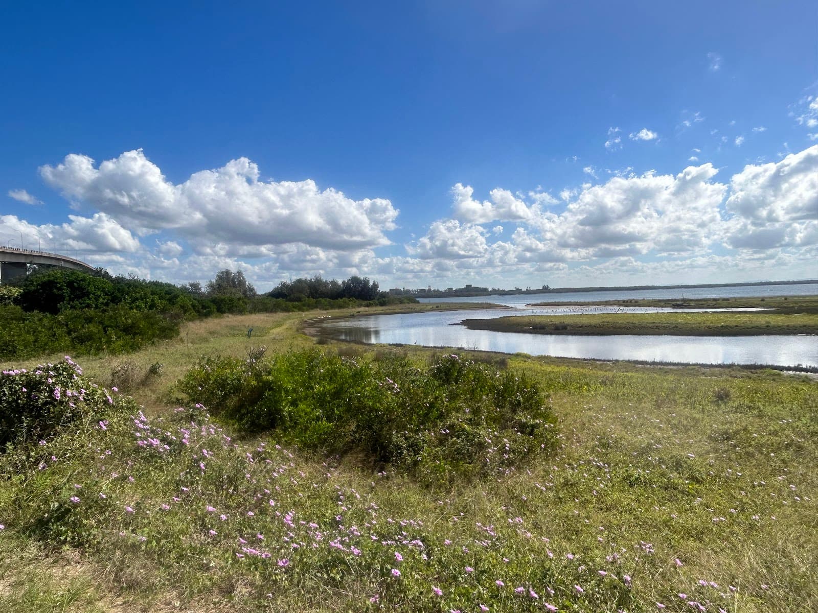 Stockton Sandspit Bird Hide - Image 1