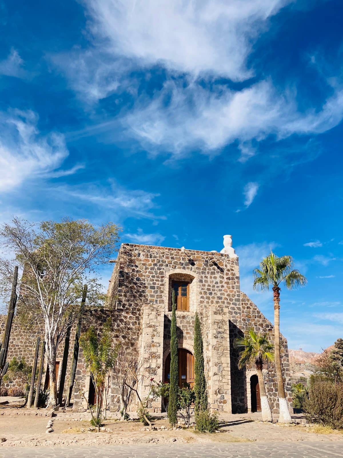 Local Vendor Delights