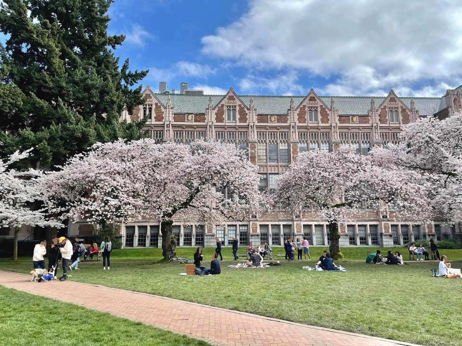 University of Washington Quad - Image 1