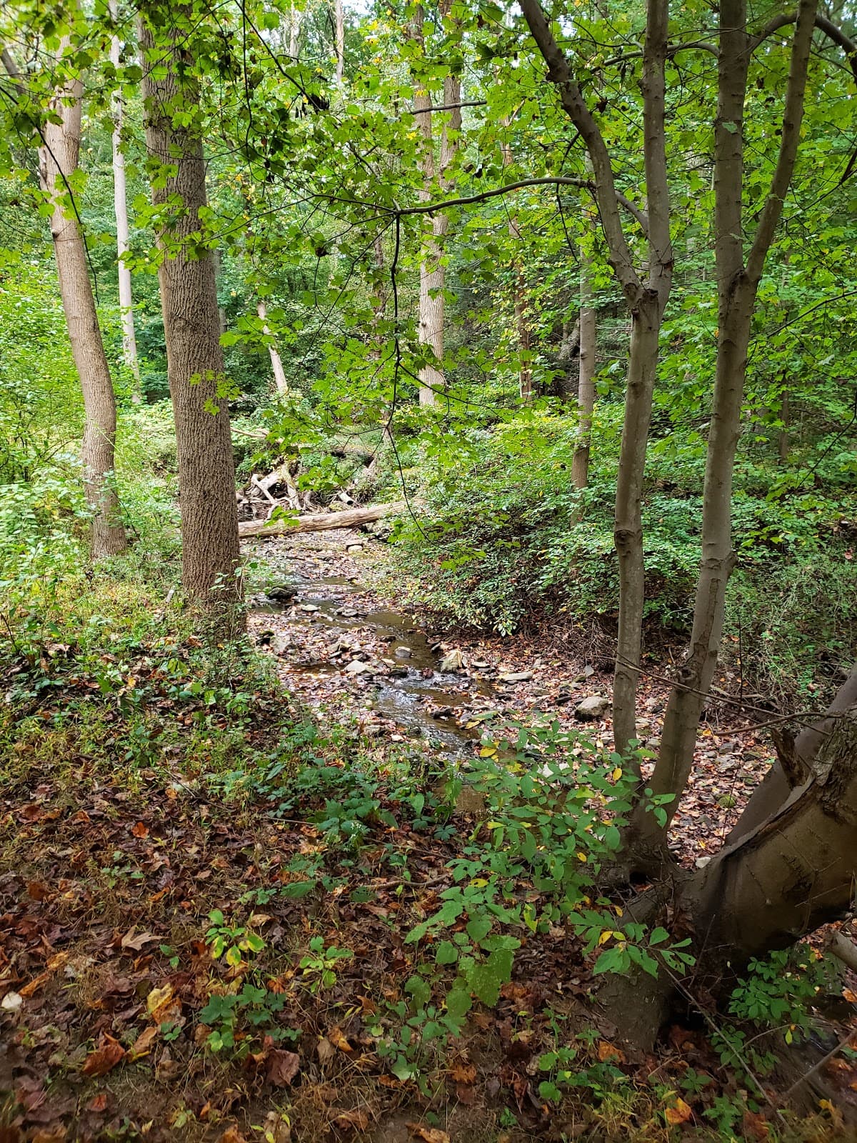 Glen Providence Park - Image 1