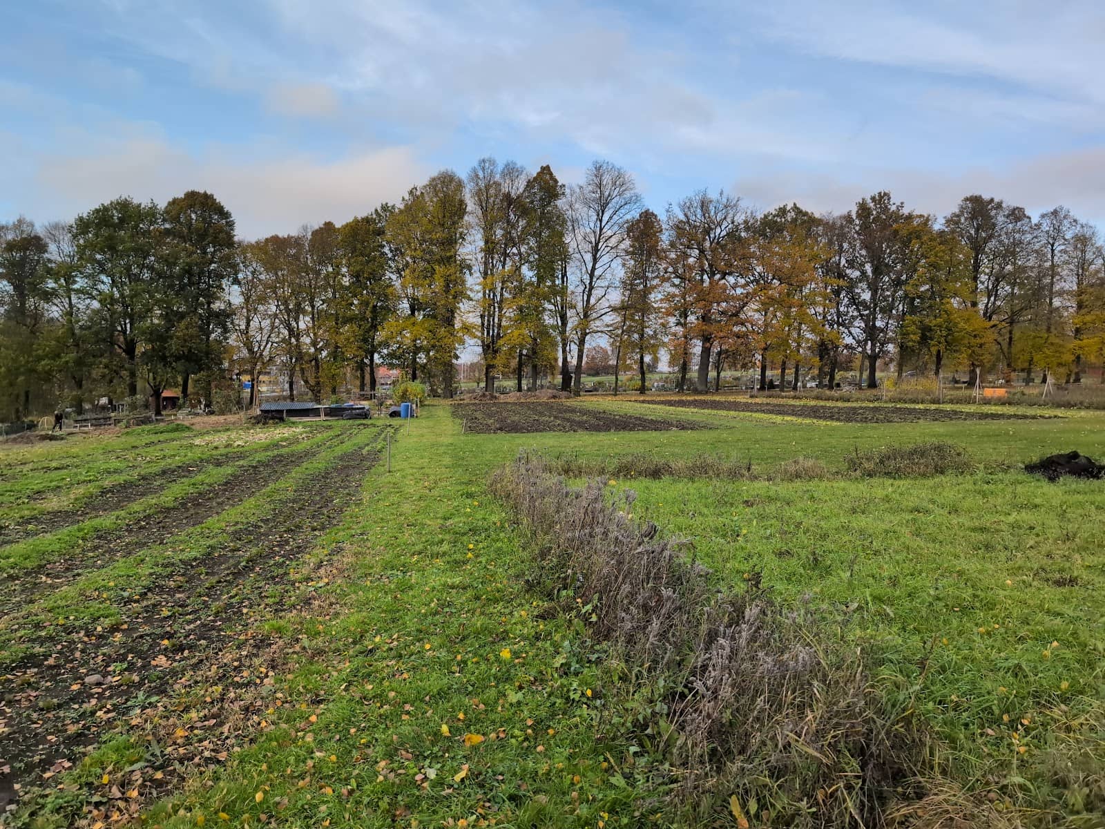 Tranquil Nature Trails
