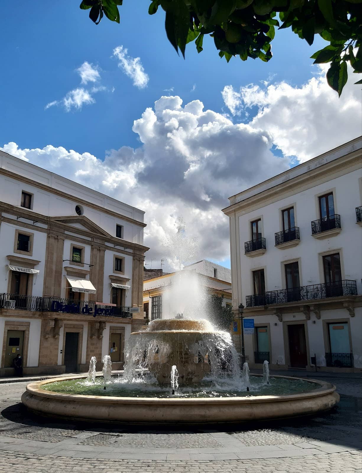 Local Animal Welfare Initiatives