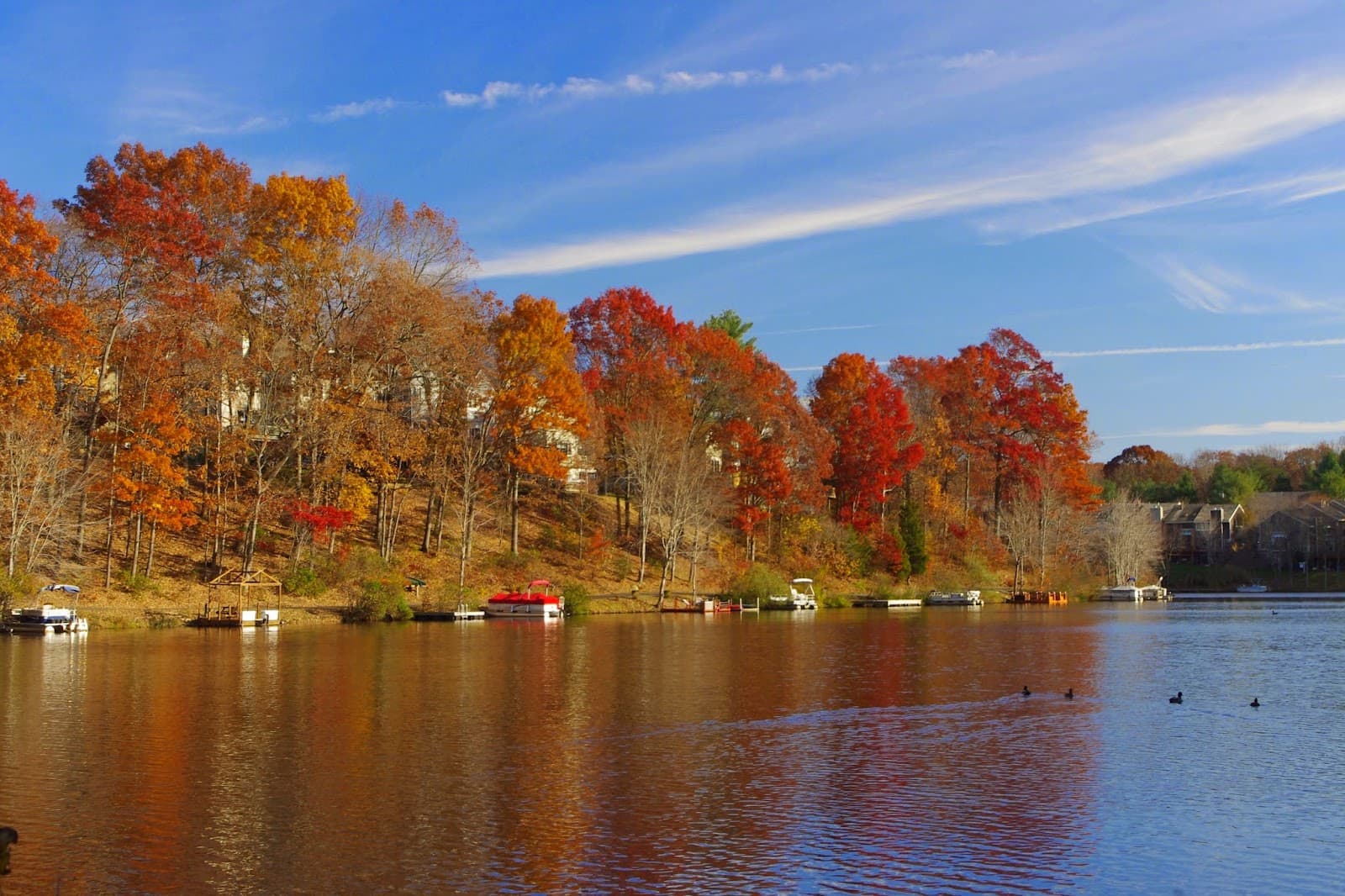 Lake Anne Loop Trail - Image 1