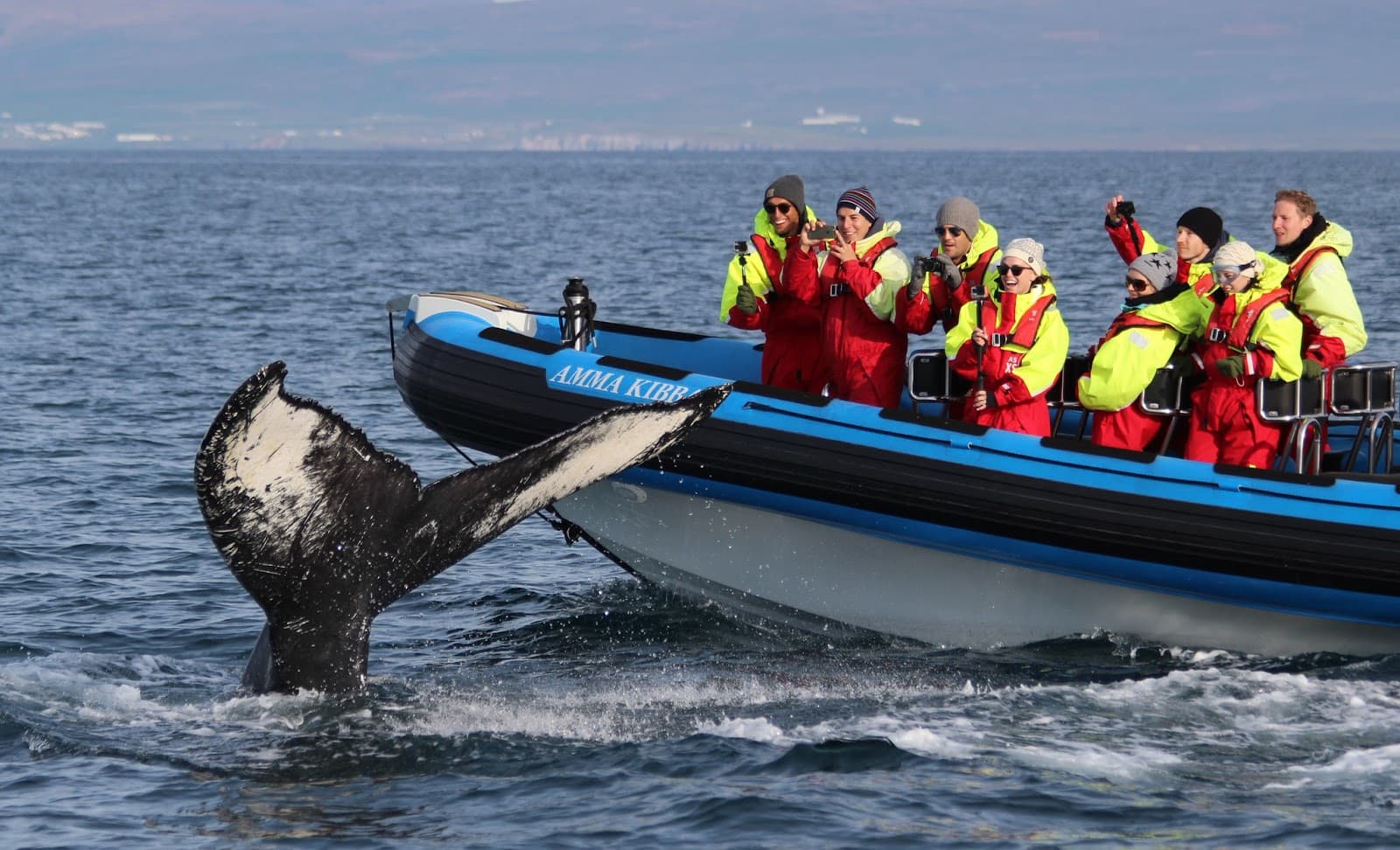 Whale Watching Akureyri Húsavík - Image 1