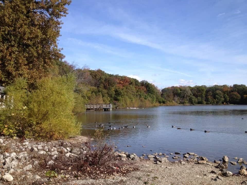 Franke Park Pavilion