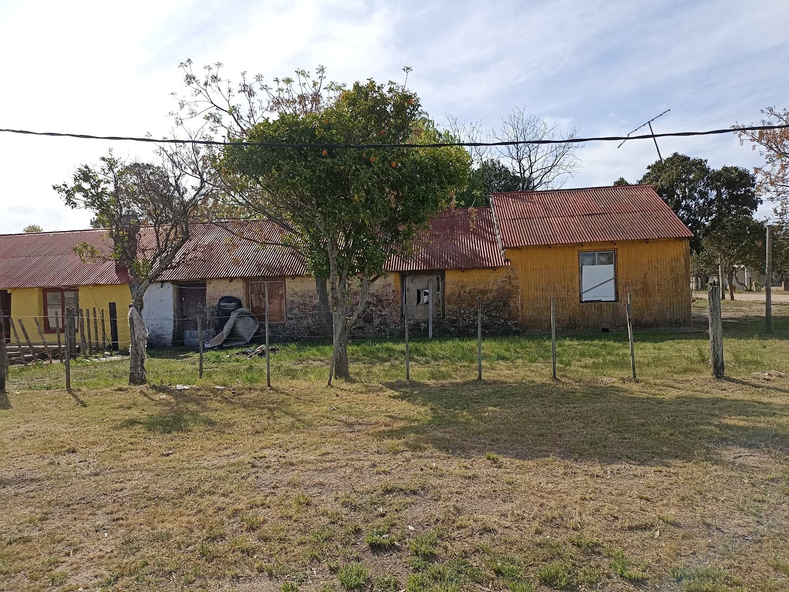 Conchillas Uruguay - Image 1