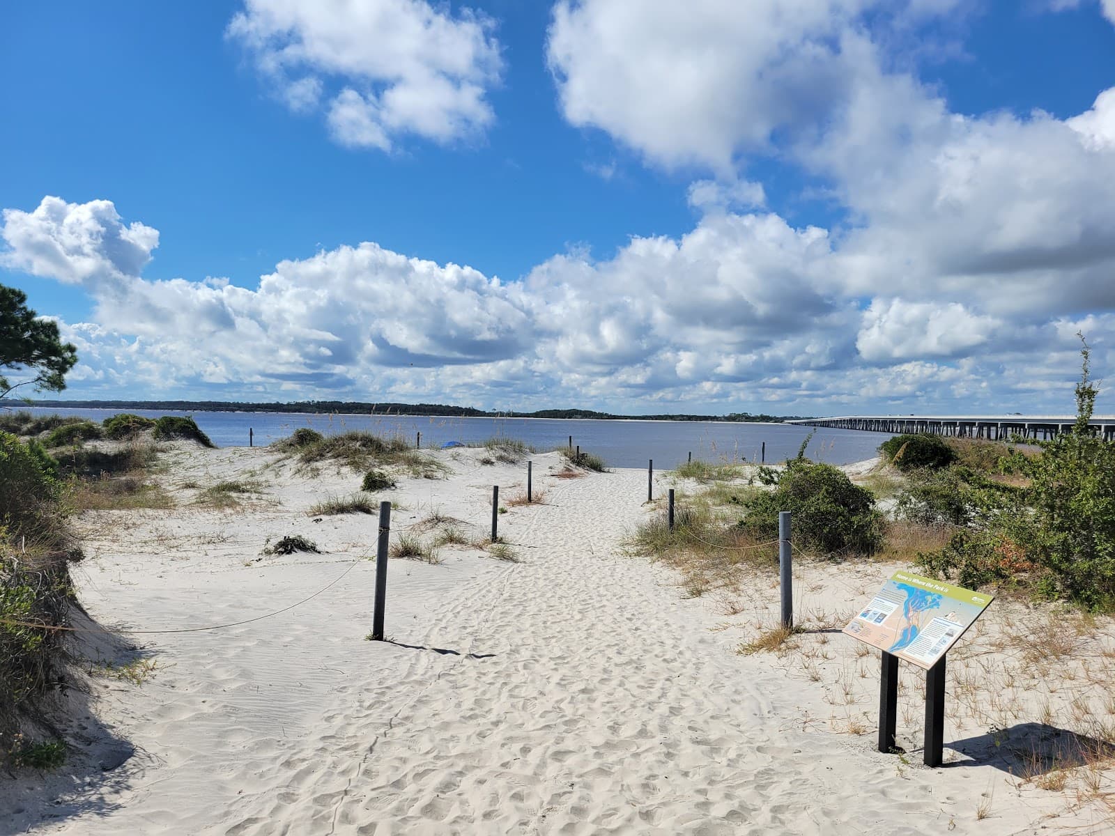 Amelia Island Beach - Image 1