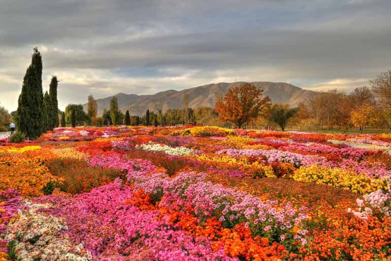 National Botanical Garden of Iran - Image 1