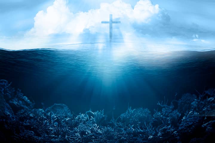 Engaging Services & Programs