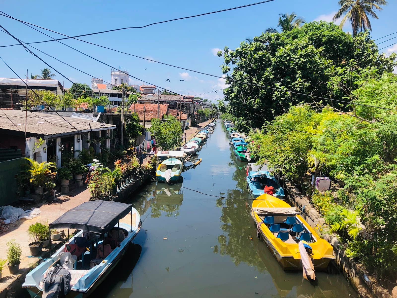 Local Fishing Culture