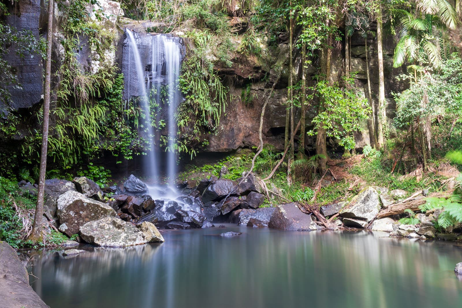 Tamborine National Park - Image 1