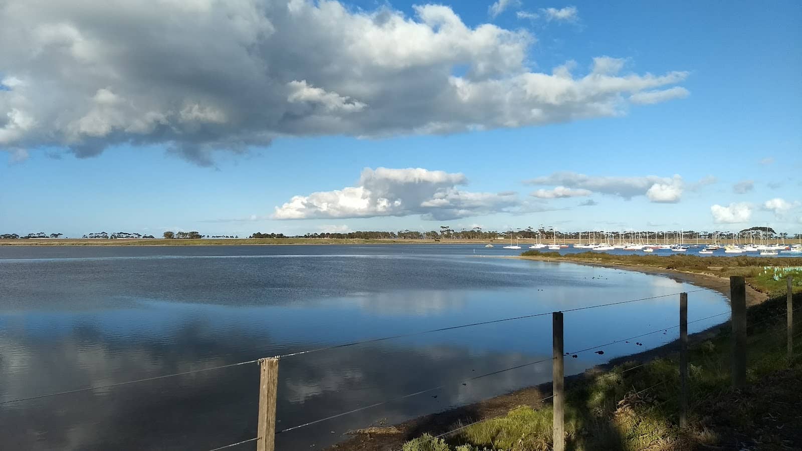 Scenic Walking Tracks