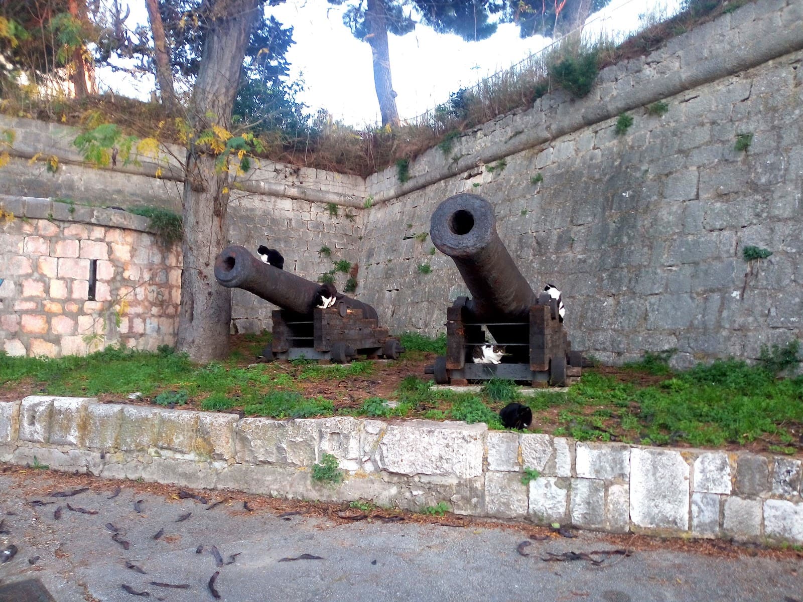 Gripe Fortress - Image 1