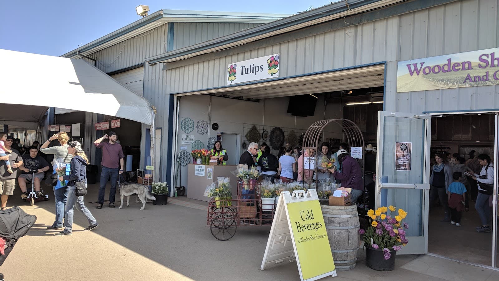 Wooden Shoe Tulip Farm - Image 1