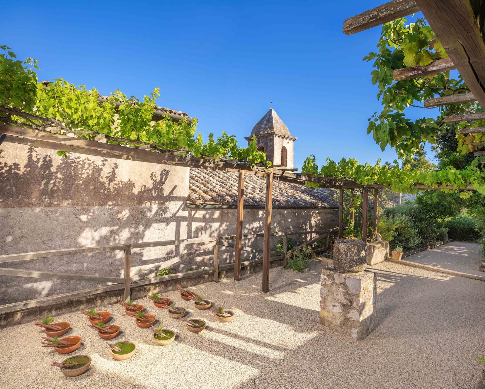 Orto dei Semplici Elbano - Image 1