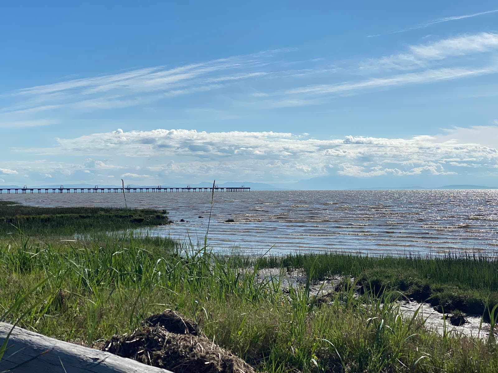 Sea Island - Image 1