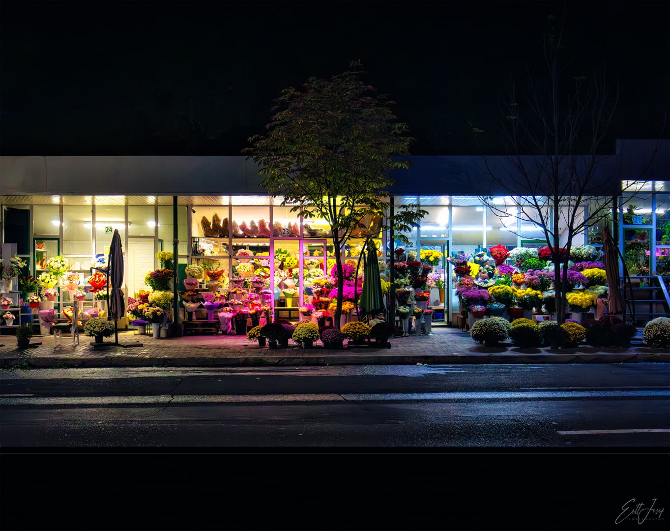 Flower Market Stefan cel Mare - Image 1