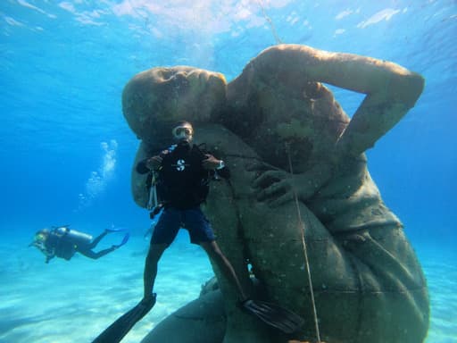 Sir Nicholas Nuttall Coral Reef Sculpture Garden - Image 1
