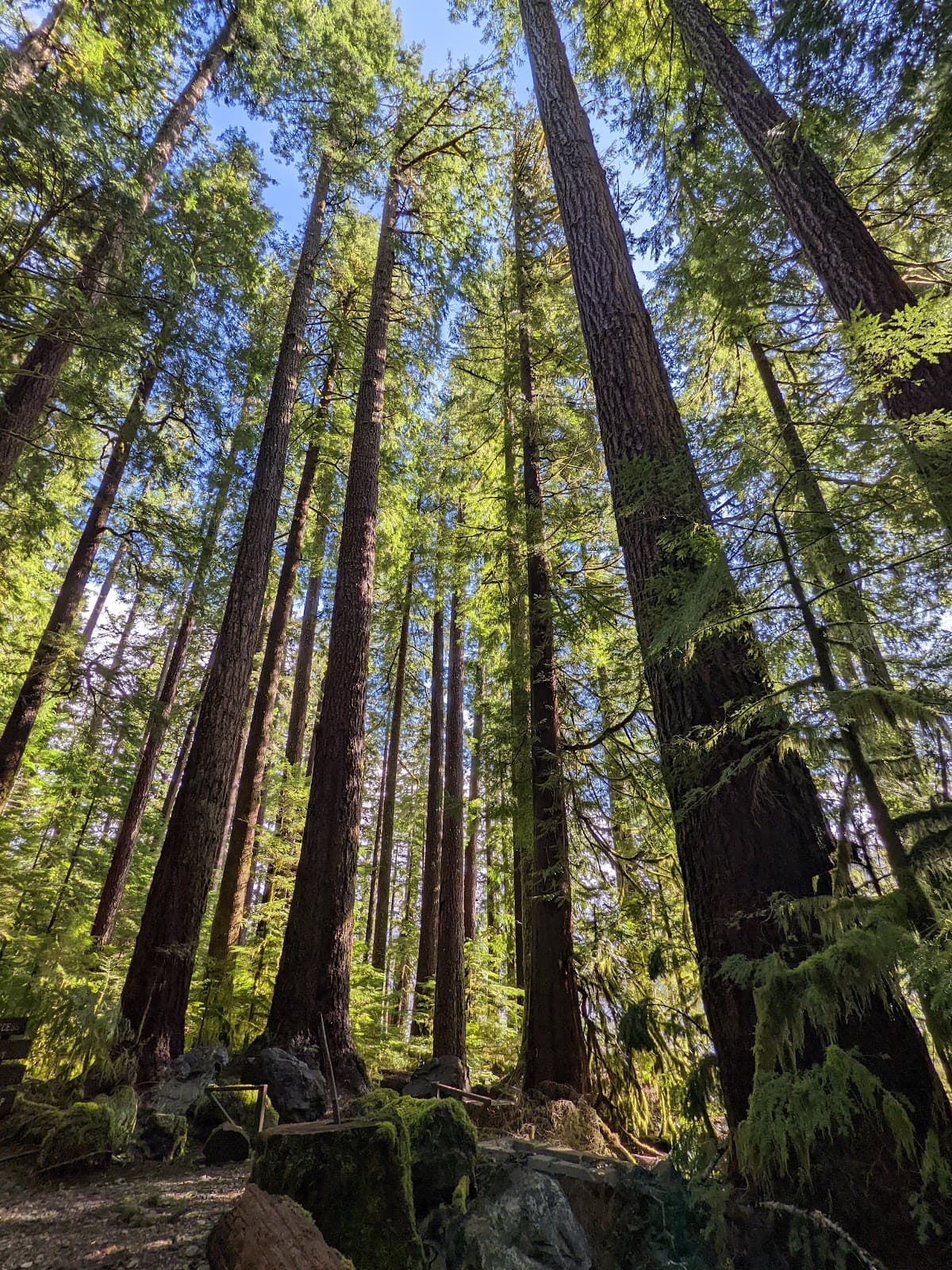 Nahmint Lake Recreation Area - Image 1
