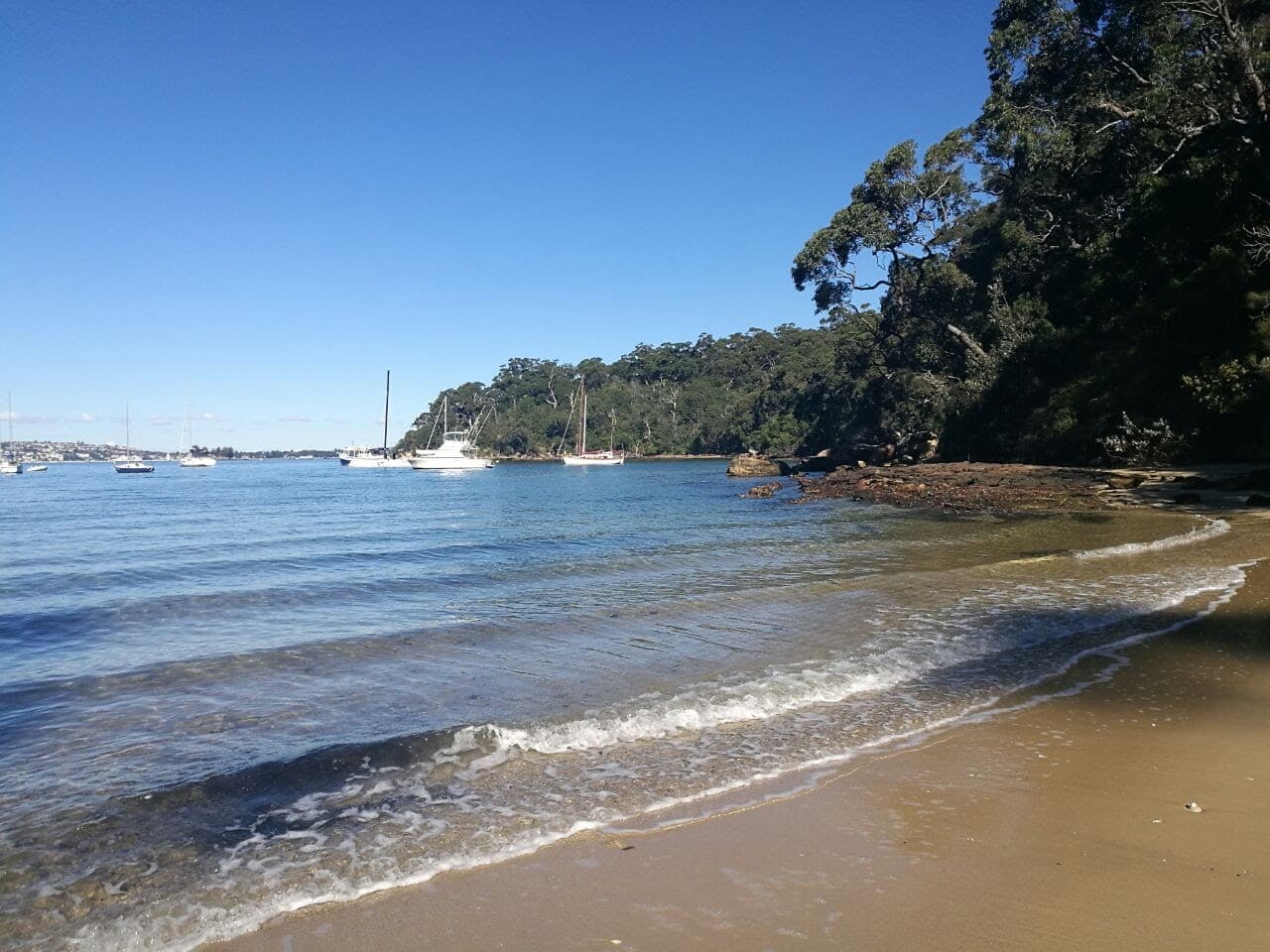 Chowder Bay - Image 1