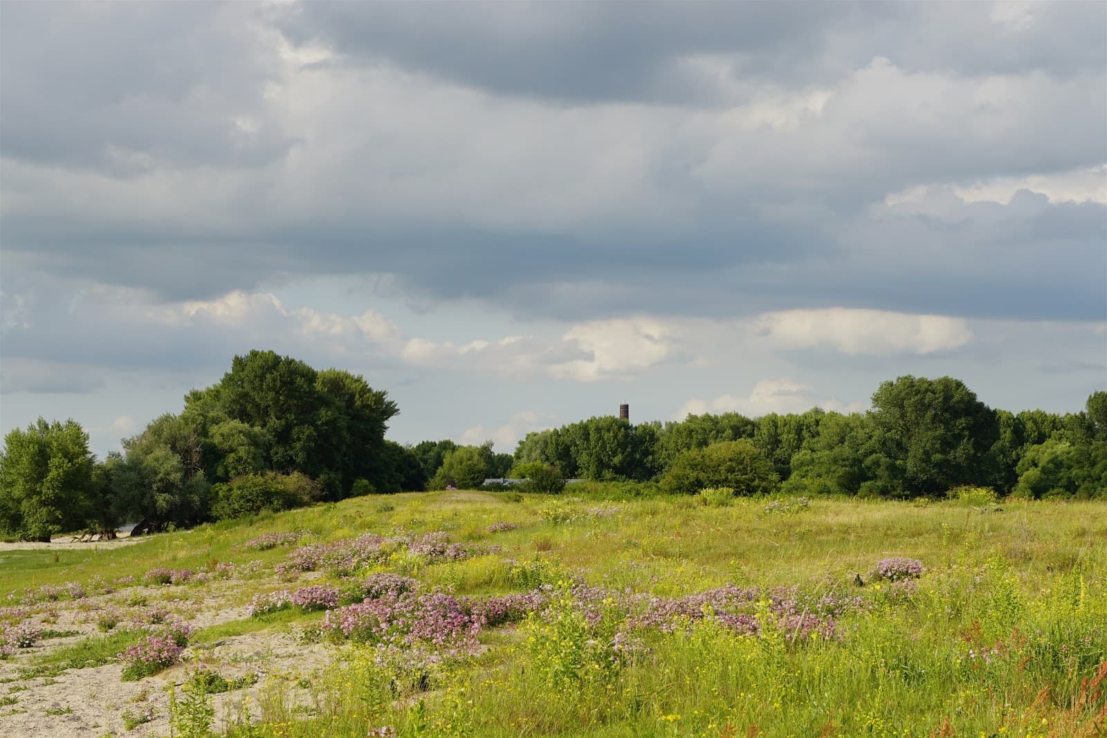 Millingerwaard & Theetuin - Image 1