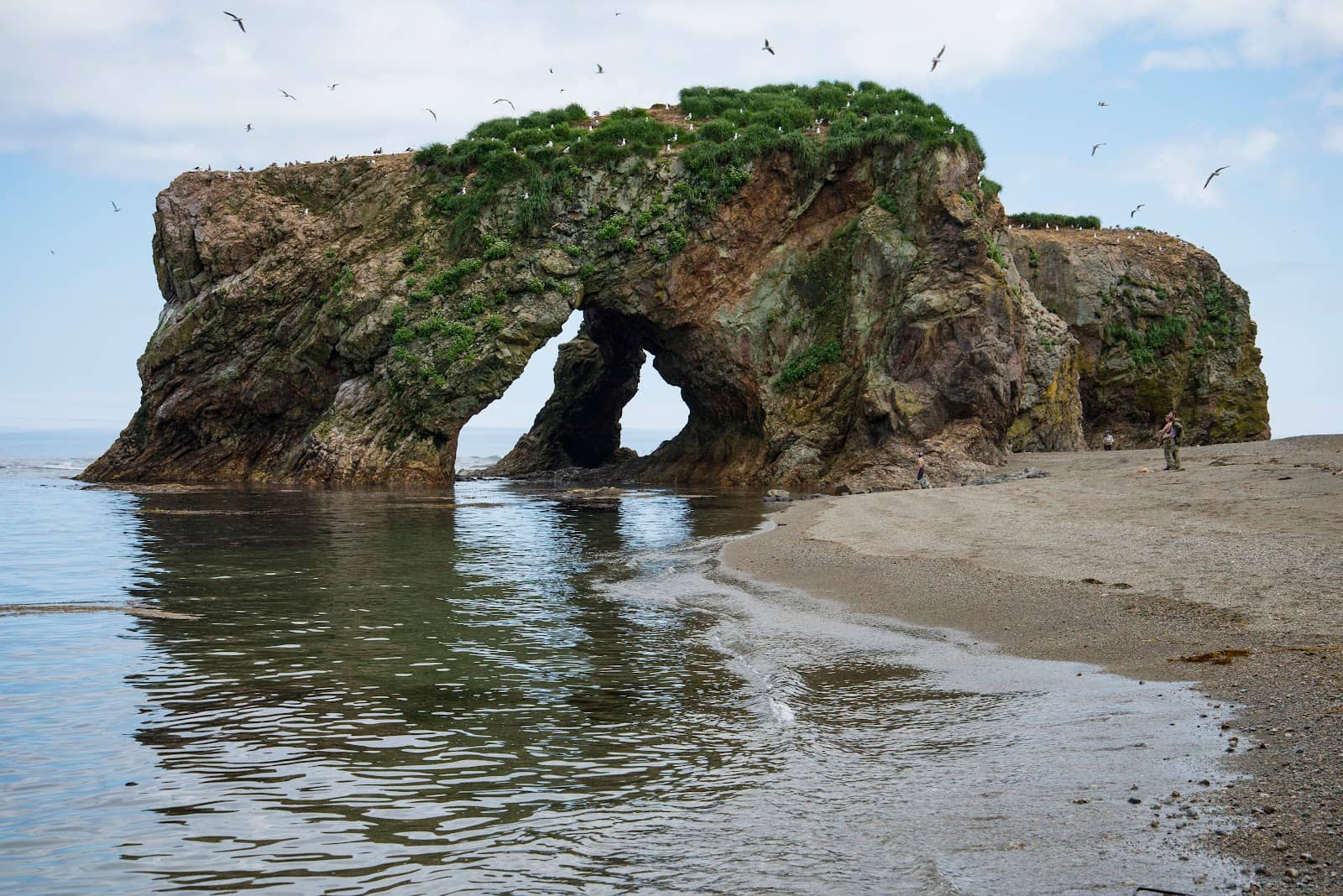 Unspoiled Nature and Wildlife