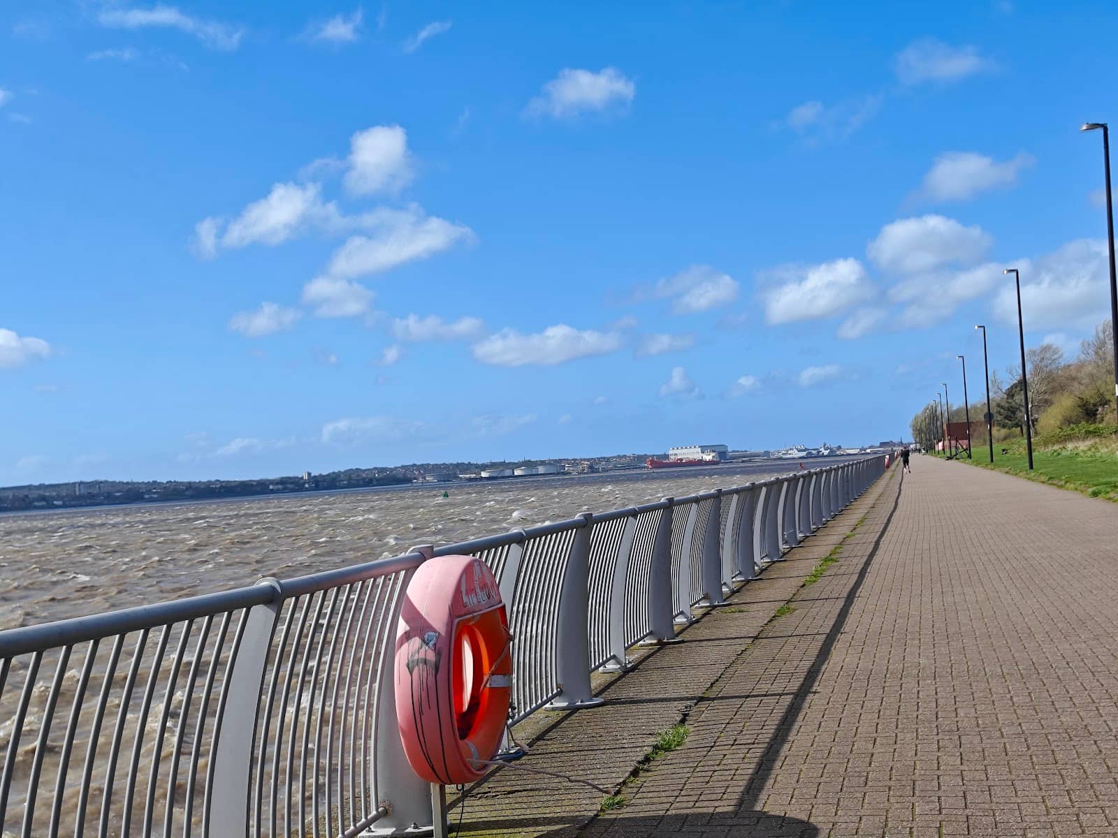 Playground & Skate Park