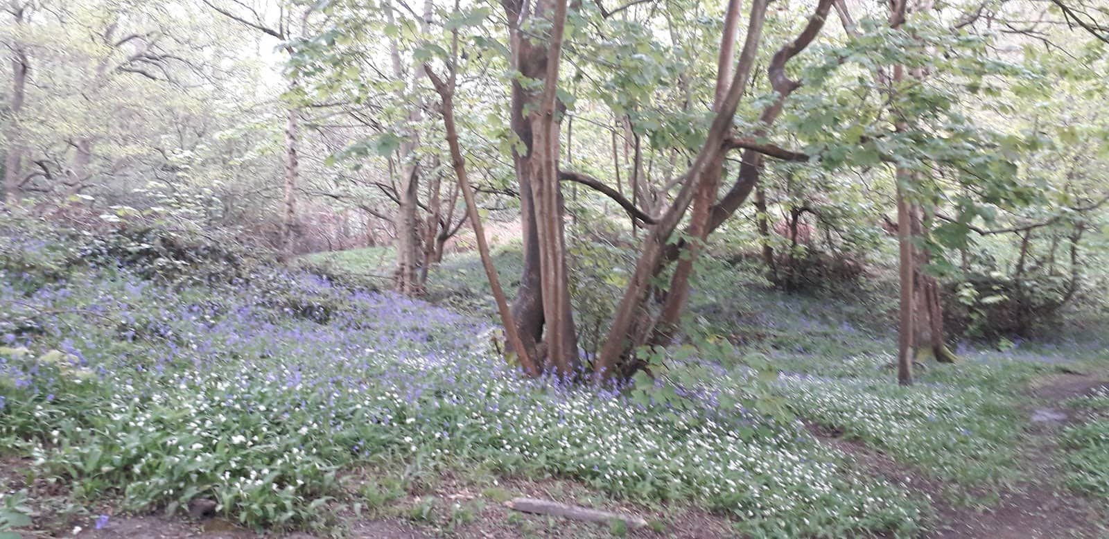 Idyllic Countryside Proximity