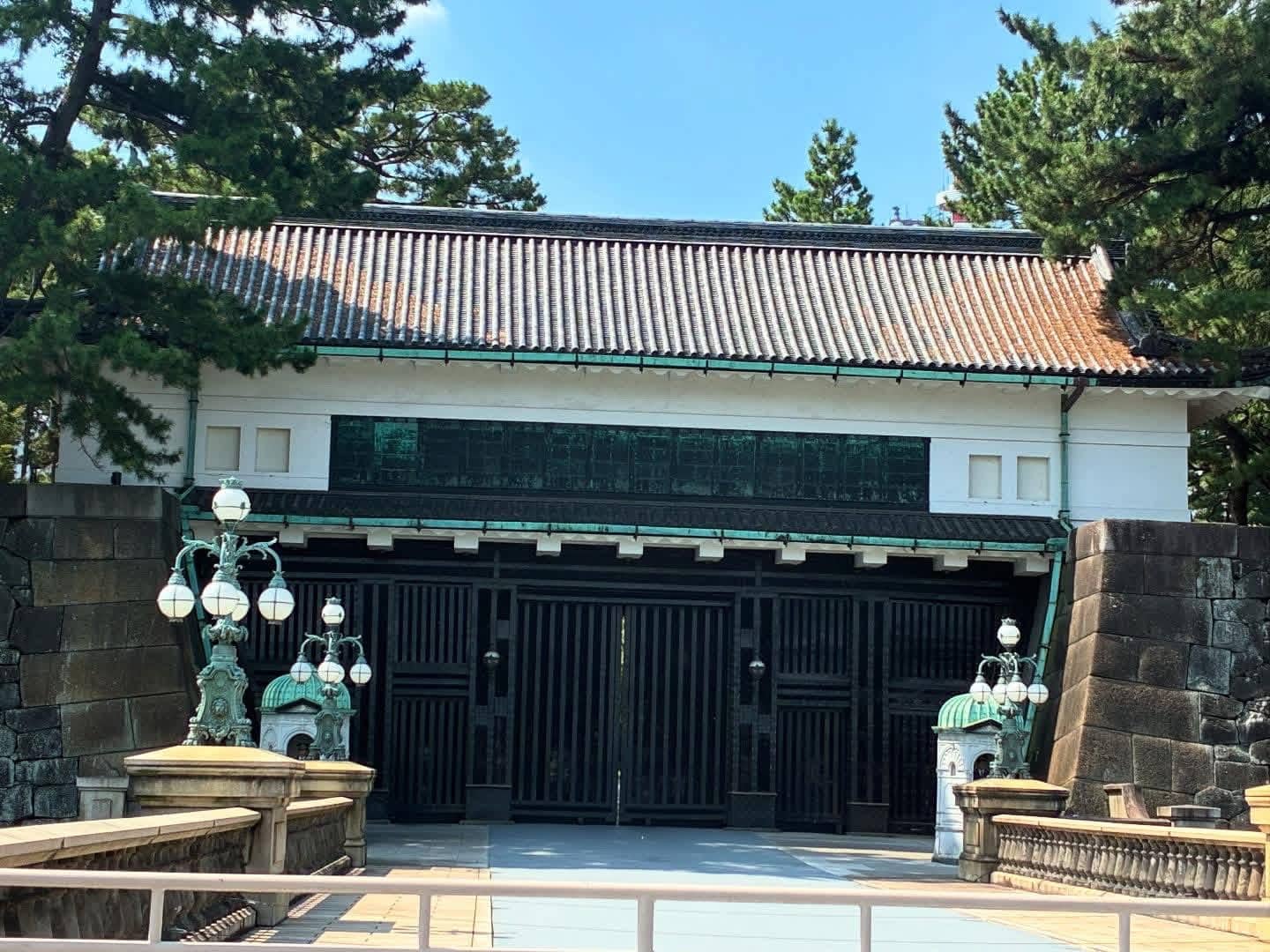 Cherry Blossom Spectacle