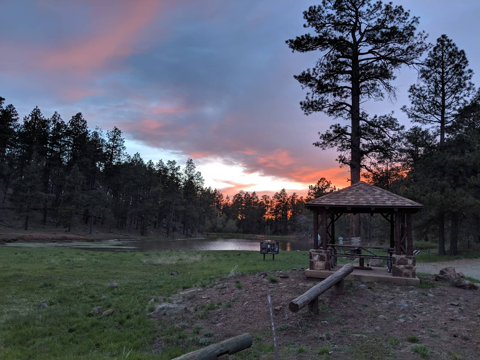Catch-and-Release Fishing