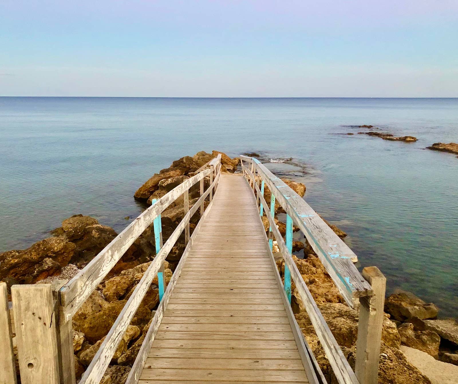 Wild and Free Atmosphere