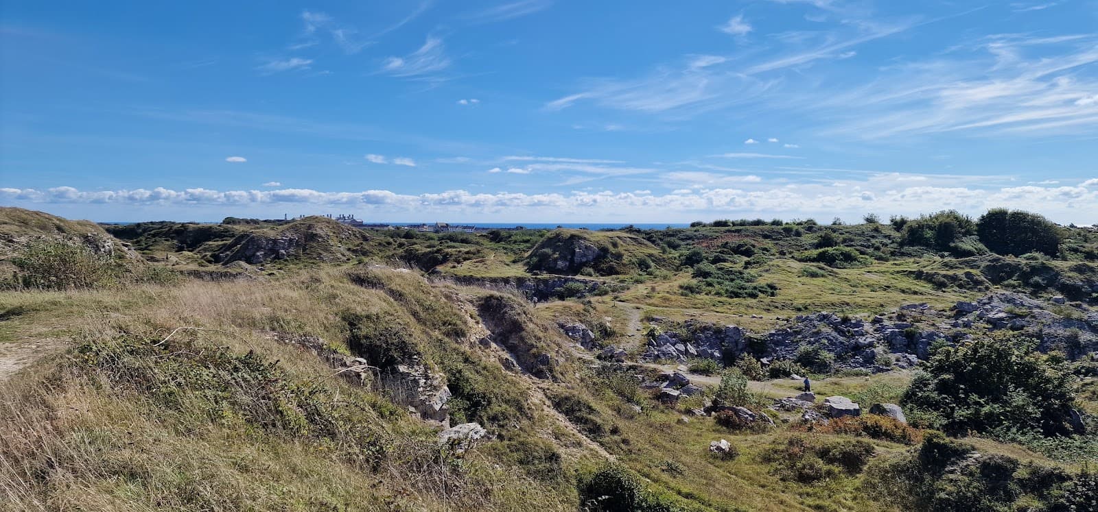 King Barrow Quarry Nature Reserve - Image 1